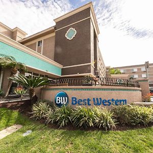 Best Western Inn & Suites San Diego Zoo -Seaworld Area